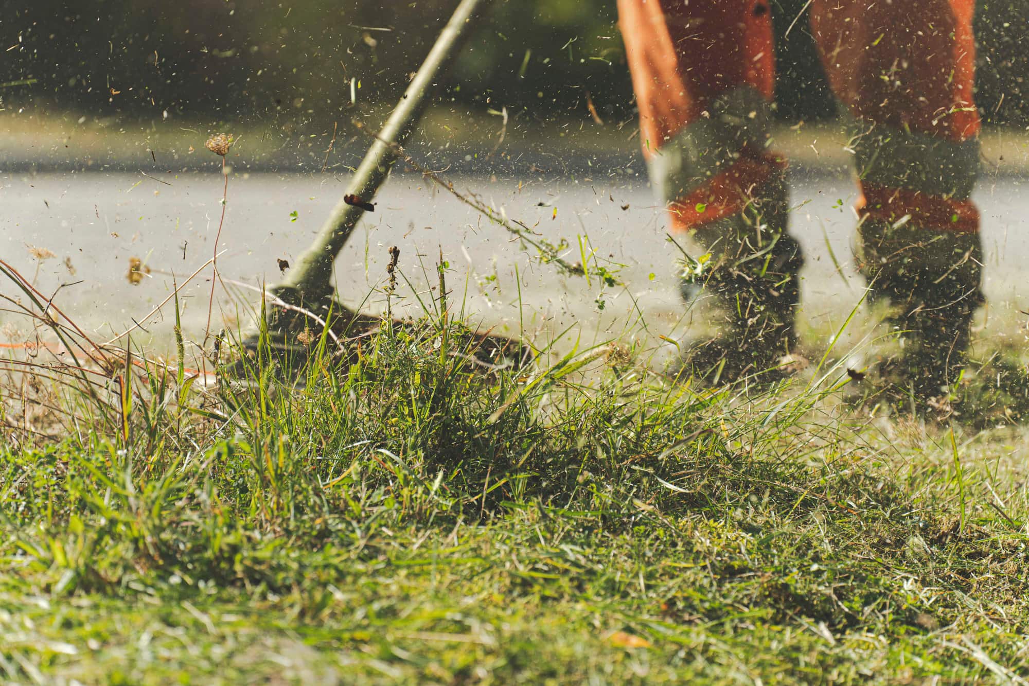 A string trimmer edging tall grass along a driveway